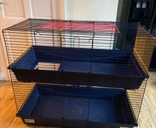 guinea pig cage