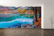 Non-woven Wall Mural / Photo Wallpaper