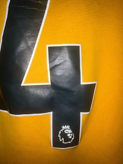 Football Jersey: Wolves 2022/23 Home Kit Collins #4