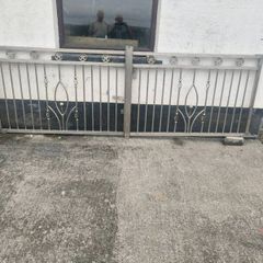 Stainless steel Gates