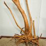 Stump Wood Size XXXL Image 5