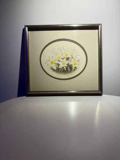 Original E.A. McEwen Watercolour - Crocuses - Signed - Belfast Artist