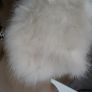OASIS White Real Turkey Feather Bolero - Free Size - Rrp 60 (New) Image 3