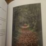 The Book Of Tomnafinnoge. Edited By Sylvia Cullen. Photographs By Terence White. First Edition Large Volume Hardback . See Photos For Same. Image 6