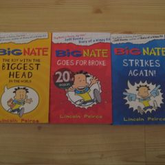 Big Nate 3 Books