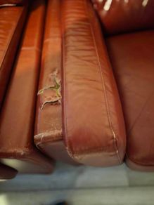3 and 2couch