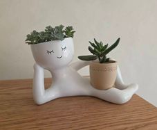 Funny planter with plant