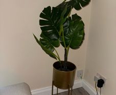 artificial plant