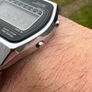 casio Image 3