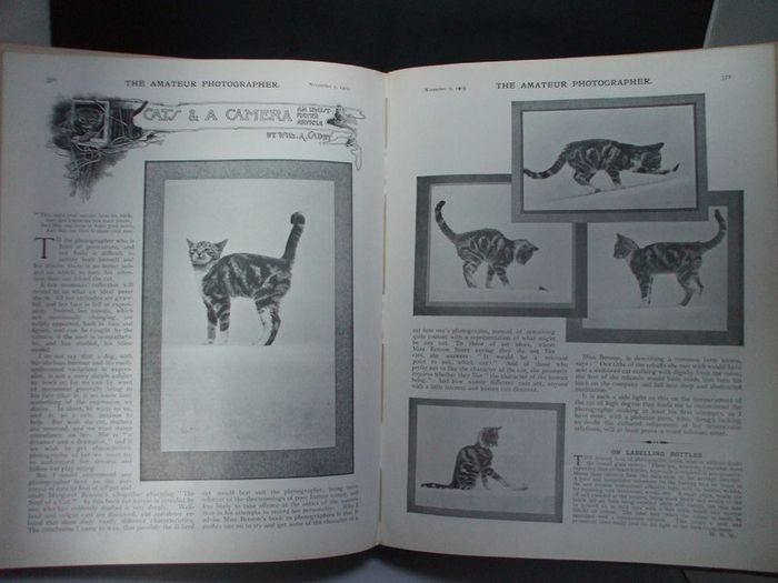 SALE!  THE AMATEUR PHOTOGRAPHER - 1903 - The Popular Illustrated Journal for All Photographers - Volume XXXVIII - July to December 1903