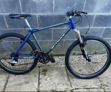 Raleigh M-TRAX Team Titanium