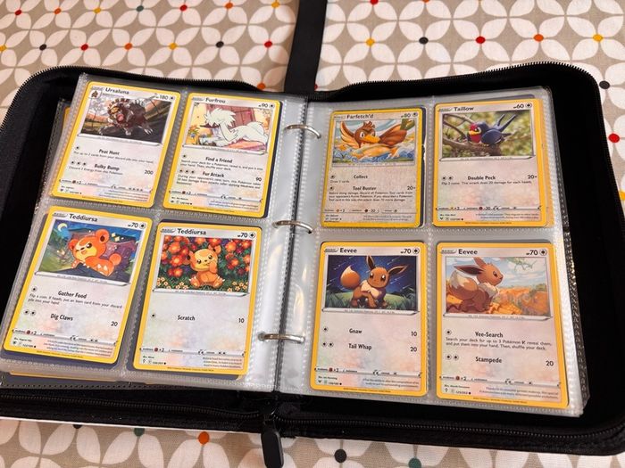 Pokemon folder and cards