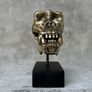 Gorilla Skull - Polished Bronze (Signed) Image 5