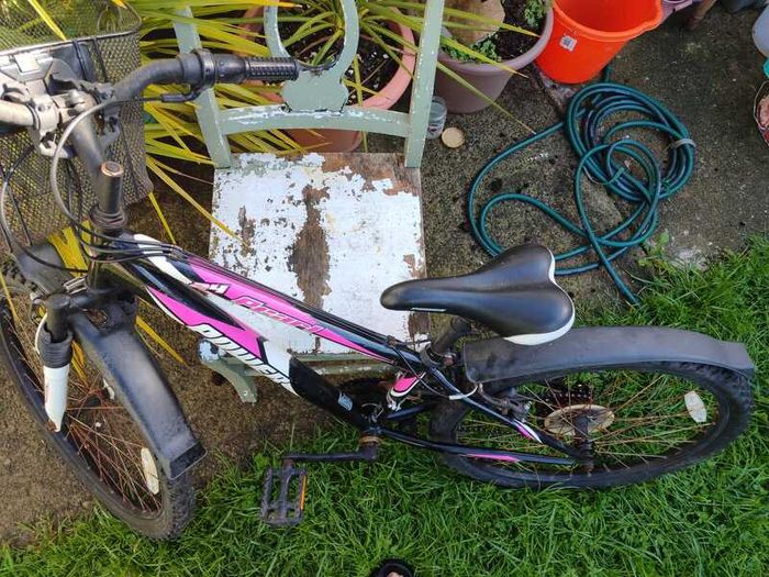 Power Pearl 24 inch girls mountain bike