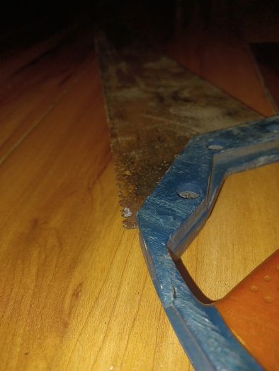 Hand saw