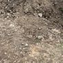 Clean soil and hardcore FREE Image 2