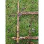 Single Gate KAS973 Image 2