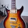ibanez Image 3