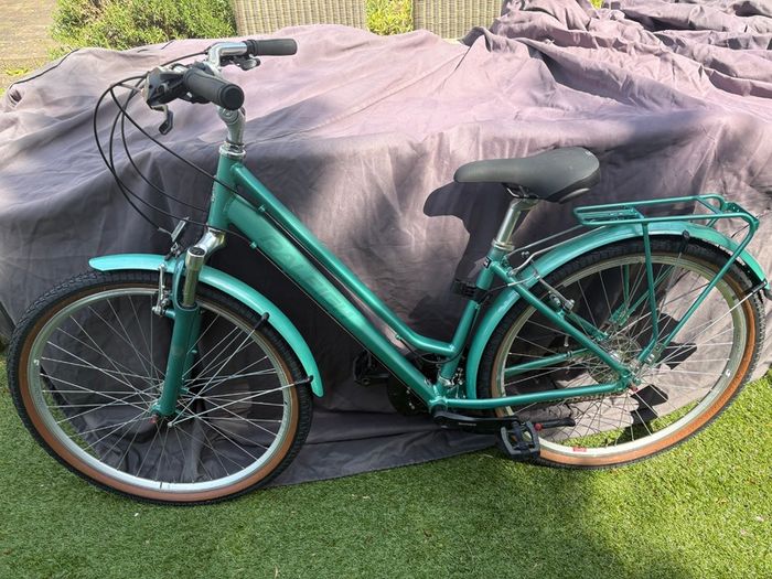 Raleigh Pioneer Trail ladies bike