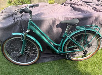 Raleigh Pioneer Trail ladies bike