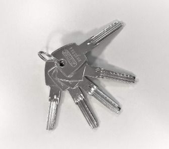 ABUS KD6PSN 40/40mm Bkn Button Cylinder - Nickel-Plated