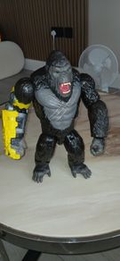 toy