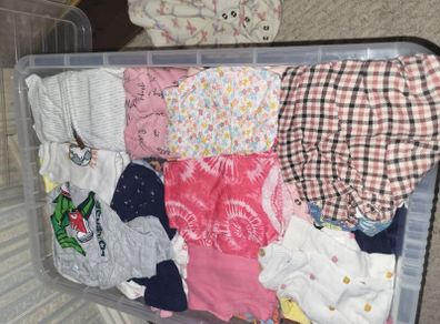 baby girl bundle 6-9 and 9-12 months