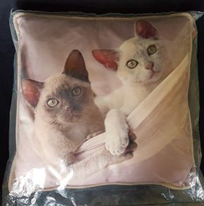 Cute Cats Cushion