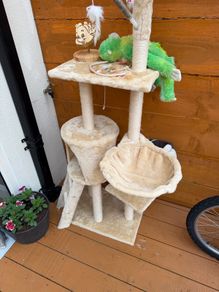 cat tree