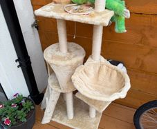 cat tree