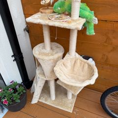 cat tree