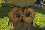 otdoor wooden flower pot stand with flowers in a pot