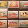 Cocos (Keeling) Islands - Fish Series 1979 Image 2