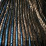 Paul Costello Silver Skirt Image 2