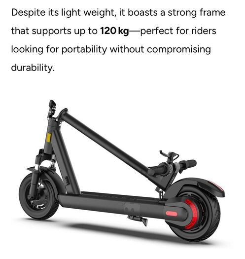 Pro Electric Scooter