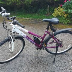 Mountain Bike (18 Speed)