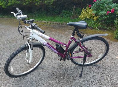 Mountain Bike (18 Speed)