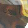 Art - Original Contemporary Oil on Canvas. ( Reduced) Image 4