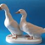 Ducks - Large Image 2