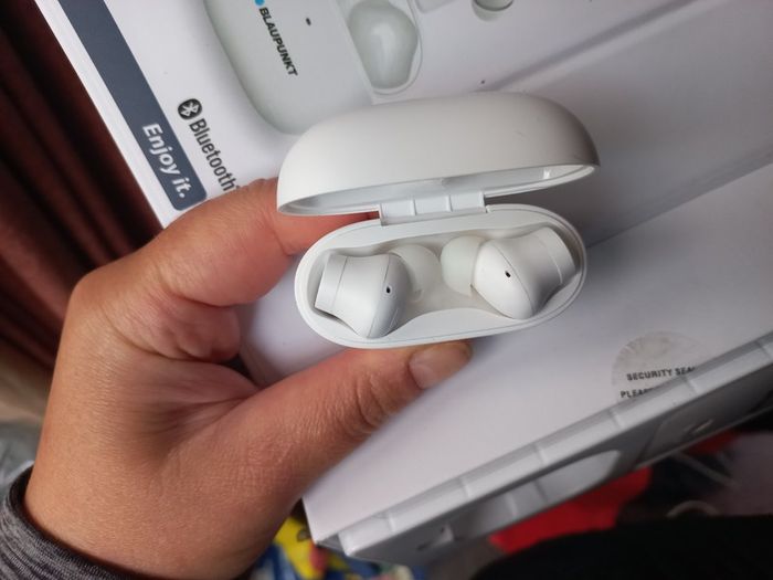 Earphones