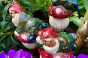 Leprechaun plant watering stakes PRICE DROP