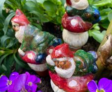 Leprechaun plant watering stakes