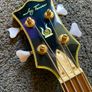 Jay Turser JTB-3 Semi Hollow Bass Guitar Image 8
