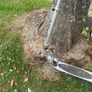 Micro Scooter Image 2