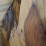 Bog Oak Sentinel_Bog Oak Table Lamp Image 4