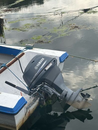 Yamaha 25hp