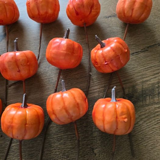 12 pumpkin picks - Halloween Autumn