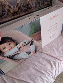 Baby Bjorn Bouncer