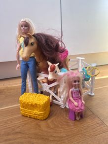 Barbie pony set