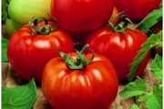 (T) Tomato Sultan H seeds (15s) (122936)